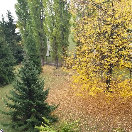 Appartement Cote Parc à Schiltigheim Extérieur photo